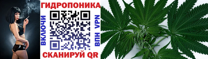 Конопля семена  даркнет сайт  Тында 